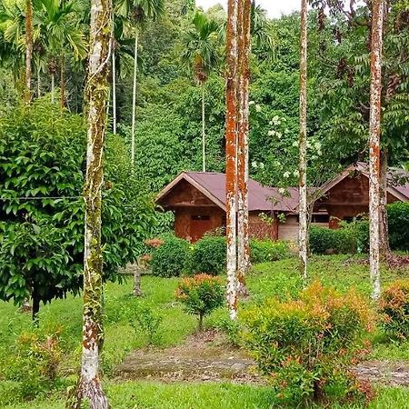 Green Lodge Tangkahan Luaran gambar