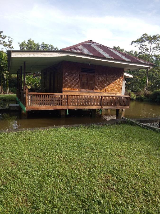Green Lodge Tangkahan Luaran gambar