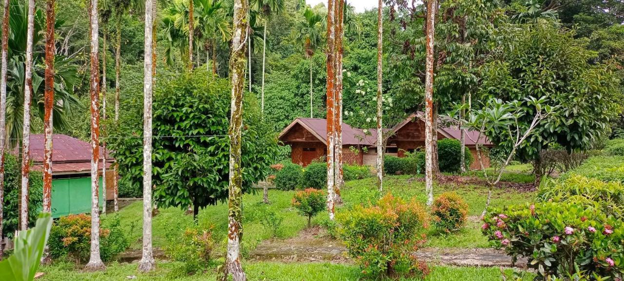Green Lodge Tangkahan Luaran gambar