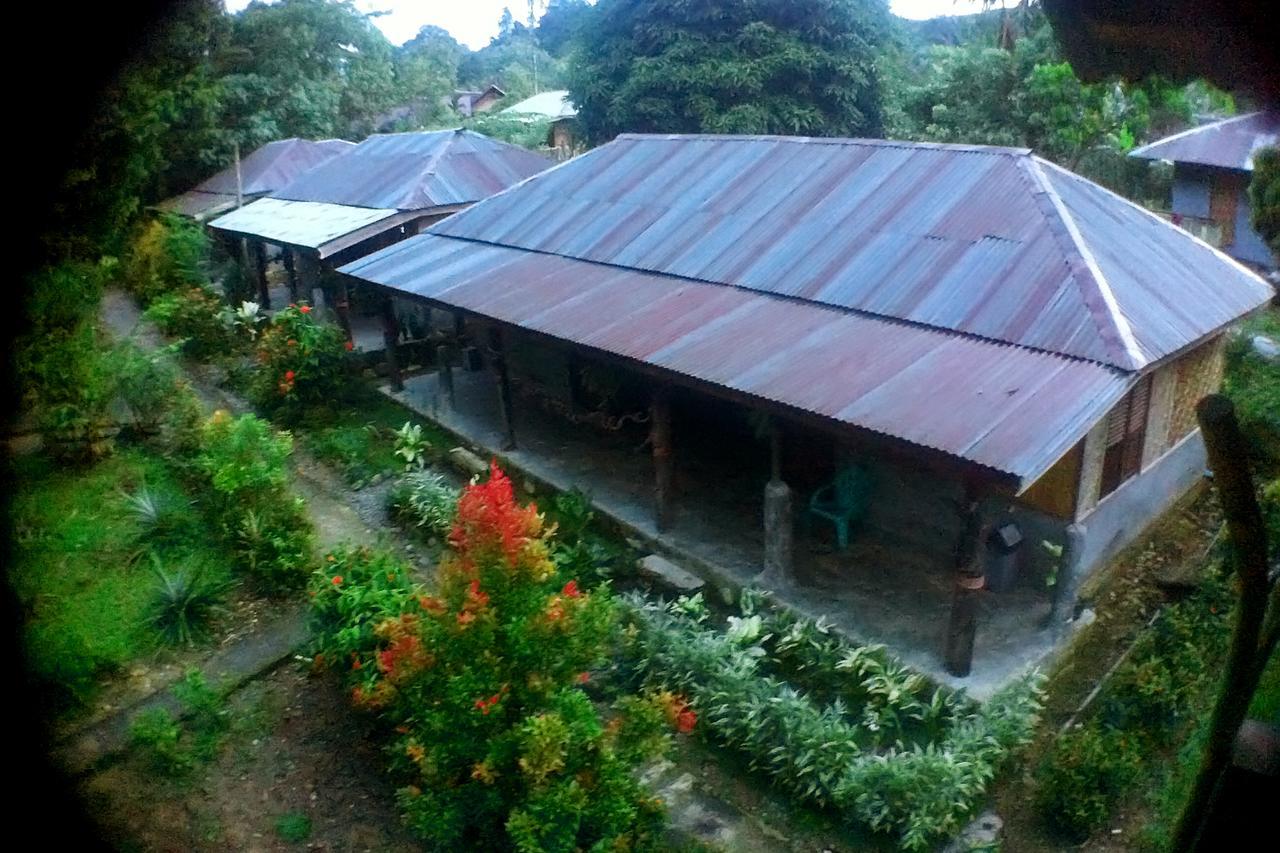 Green Lodge Tangkahan Luaran gambar