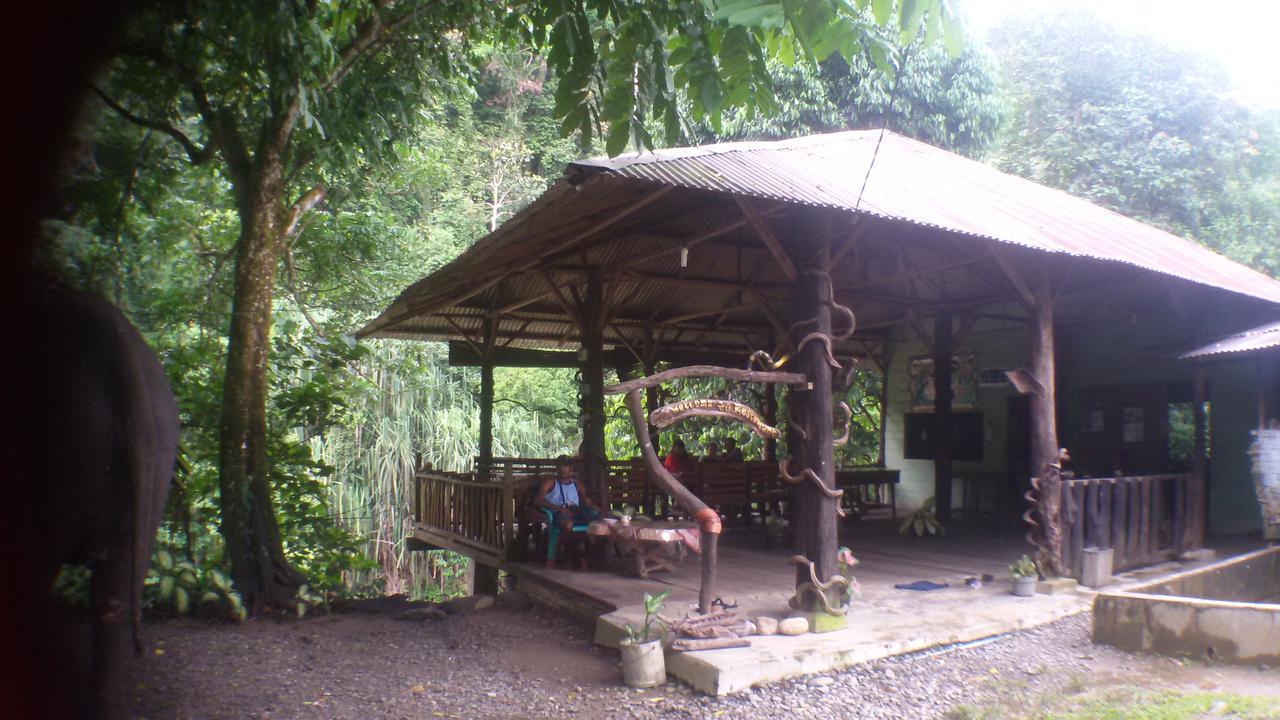 Green Lodge Tangkahan Luaran gambar