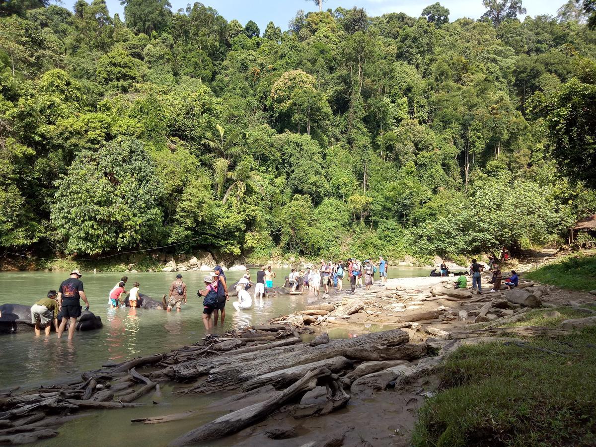 Green Lodge Tangkahan Luaran gambar