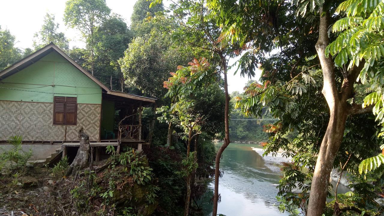 Green Lodge Tangkahan Luaran gambar