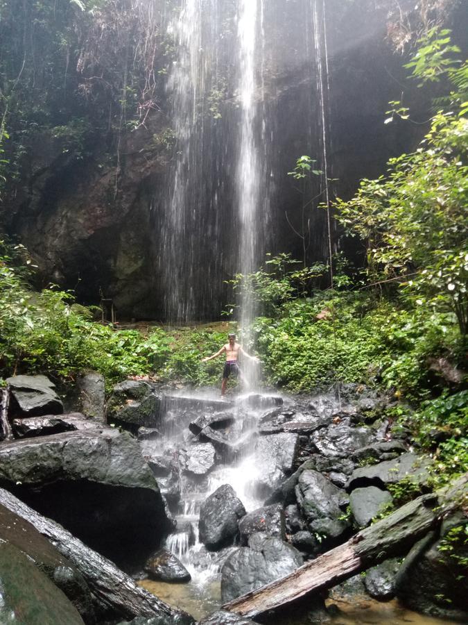 Green Lodge Tangkahan Luaran gambar